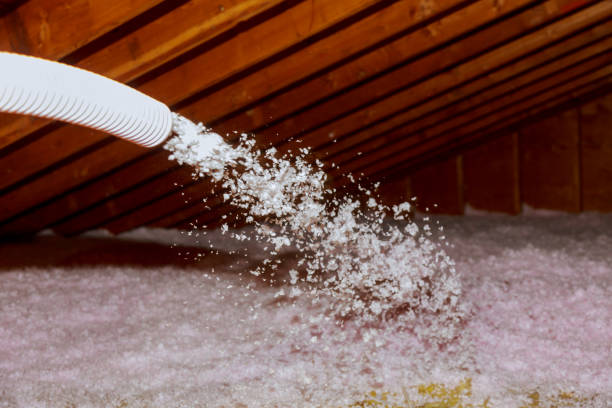 Best Specialized Insulation Services in Wellington, TX