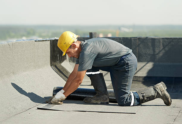 Best Cellulose Insulation in Wellington, TX