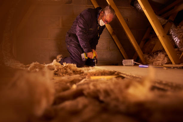 Best Insulation Maintenance and Repair in Wellington, TX